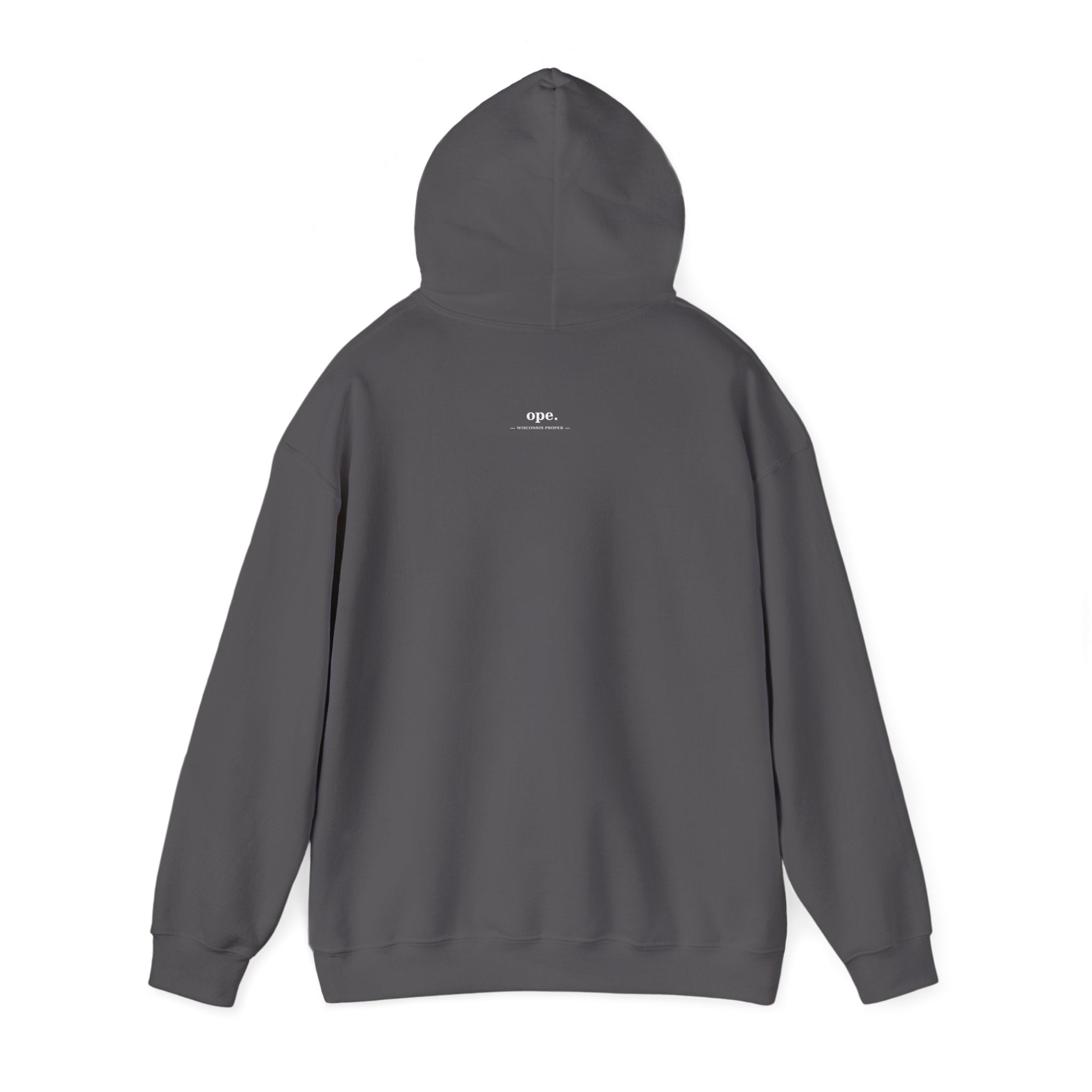 Spooner Blows EST. 1910 Hoodie | Wisconsin Northwoods Hoodie, Hayward WI Apparel